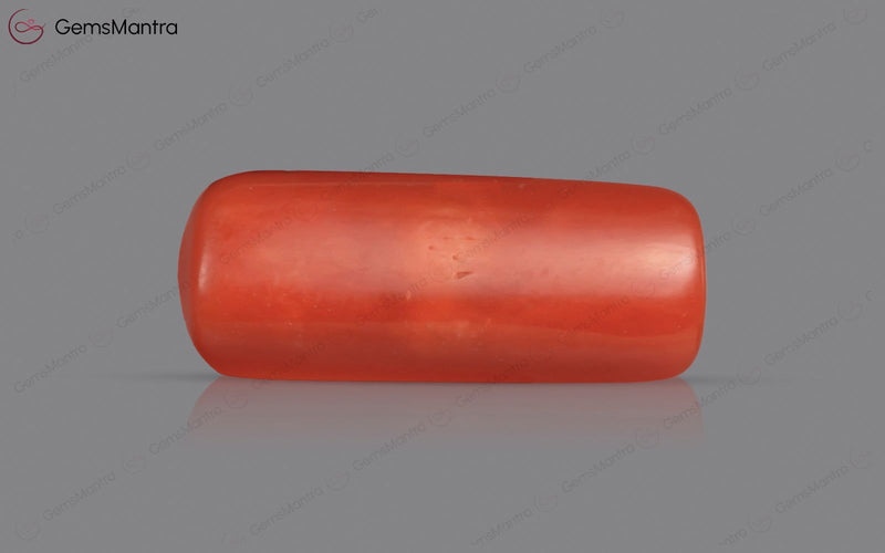 Red Coral - 3.87 Carats