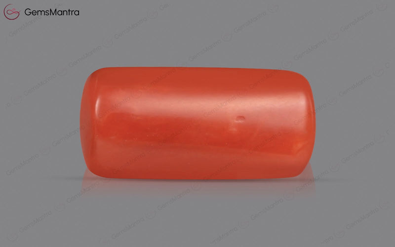 Red Coral - 3.67 Carats
