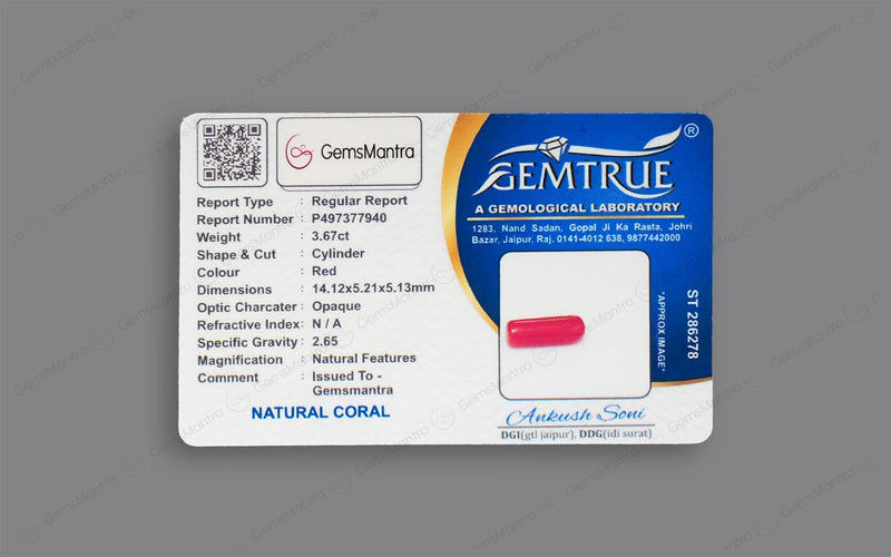 Red Coral - 3.67 Carats