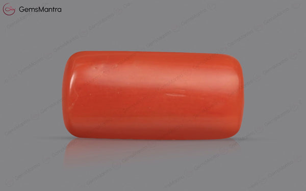 Red Coral - 3.67 Carats