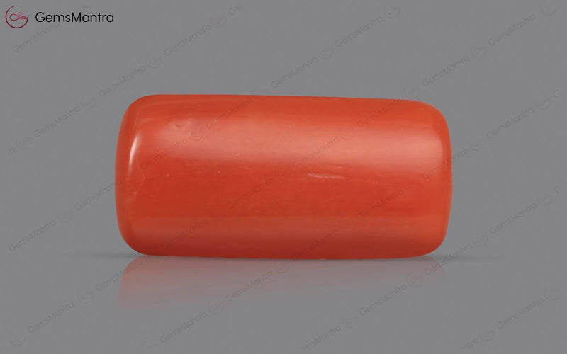Red Coral - 3.67 Carats