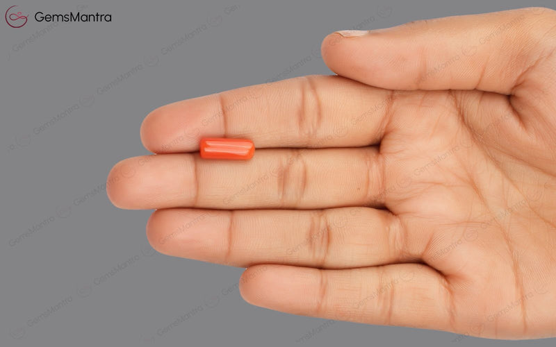 Red Coral - 3.67 Carats