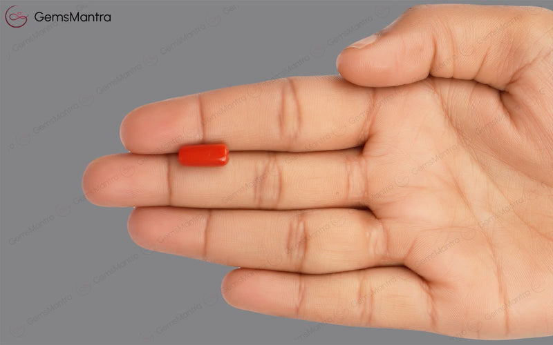 Red Coral - 3.71 Carats