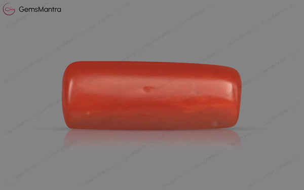 Red Coral - 3.73 Carats