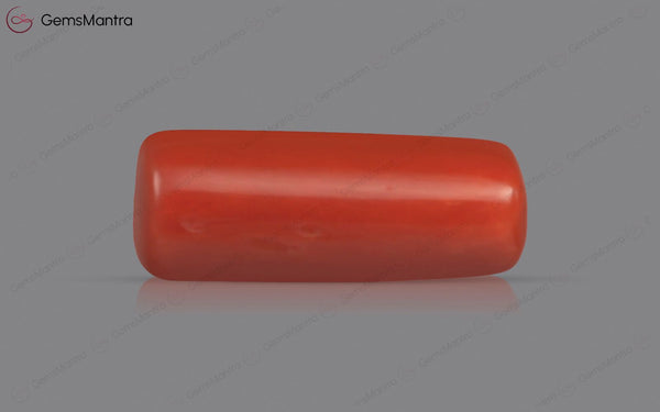 Red Coral - 3.73 Carats