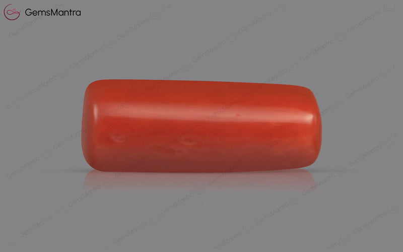 Red Coral - 3.73 Carats