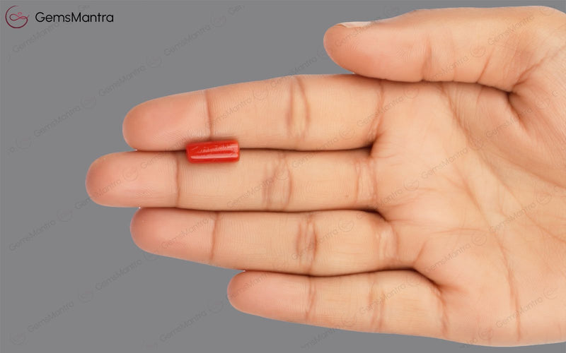 Red Coral - 3.73 Carats