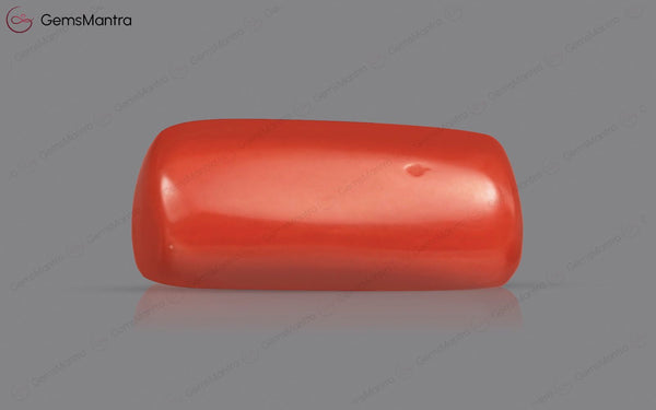 Red Coral - 3.97 Carats