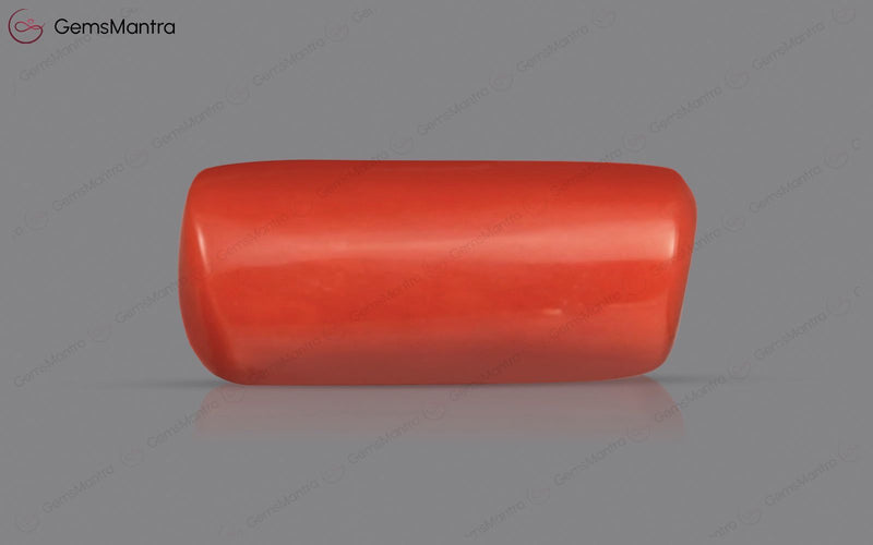 Red Coral - 3.97 Carats