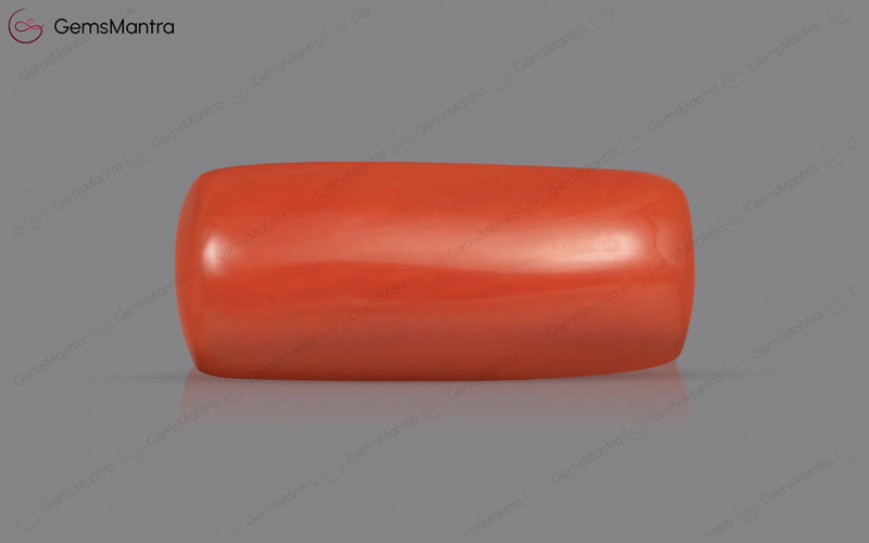 Red Coral - 3.77 Carats