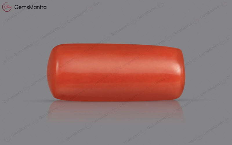 Red Coral - 3.77 Carats