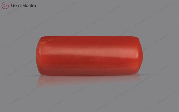 Red Coral - 3.72 Carats