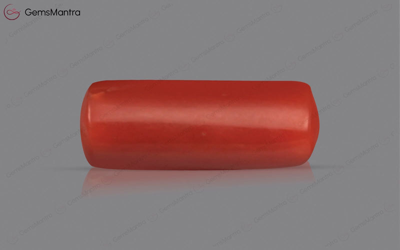 Red Coral - 3.72 Carats