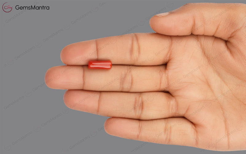 Red Coral - 3.72 Carats