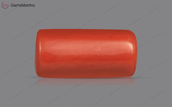 Red Coral - 3.67 Carats