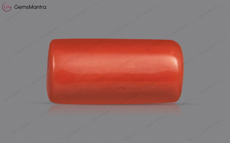 Red Coral - 3.67 Carats