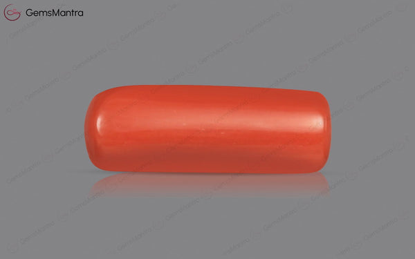 Red Coral - 3.88 Carats