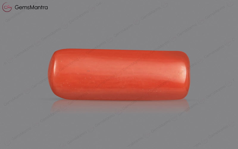 Red Coral - 3.88 Carats