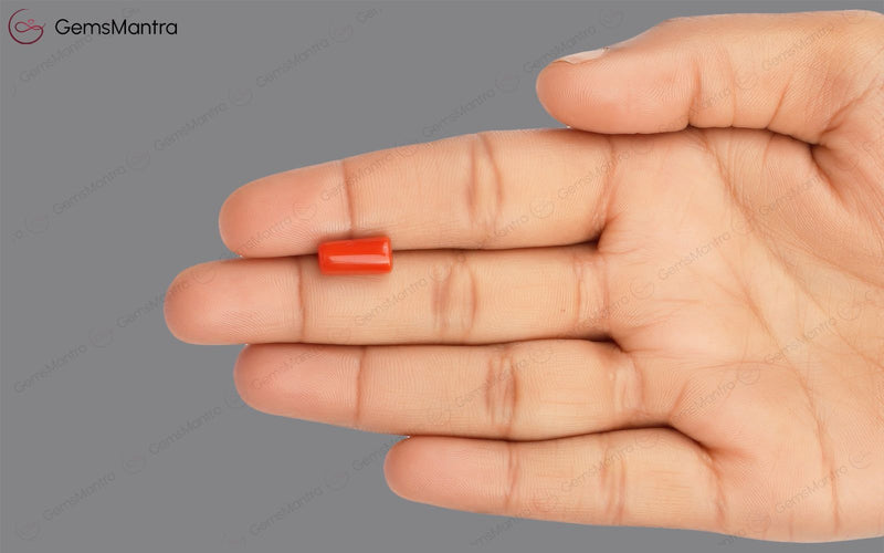 Red Coral - 3.88 Carats