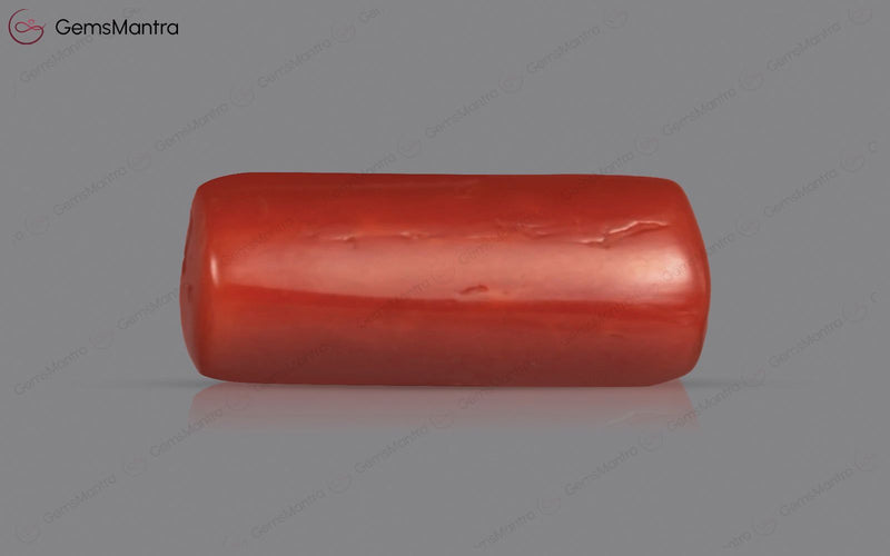 Red Coral - 3.67 Carats