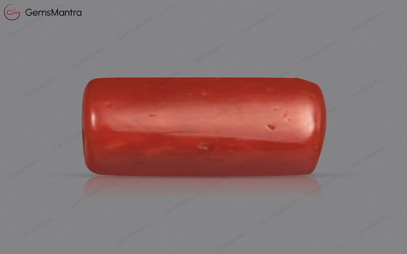 Red Coral - 3.67 Carats