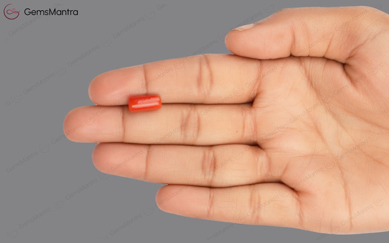 Red Coral - 3.67 Carats