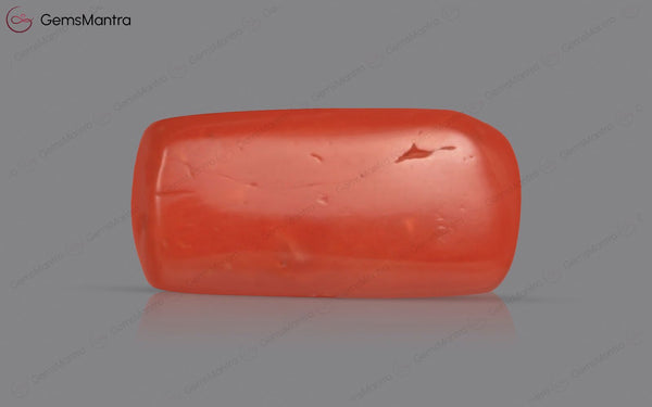 Red Coral - 3.97 Carats