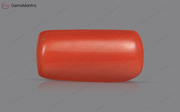 Red Coral - 3.97 Carats