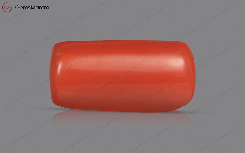 Red Coral - 3.97 Carats