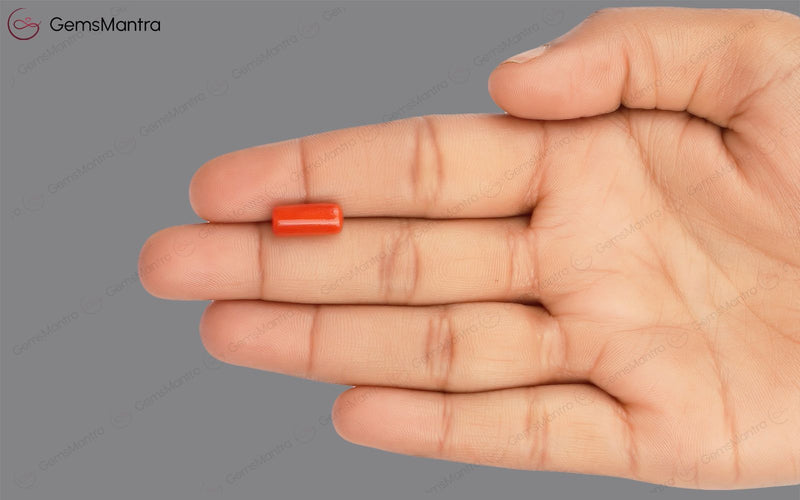 Red Coral - 3.97 Carats