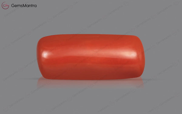 Red Coral - 3.65 Carats