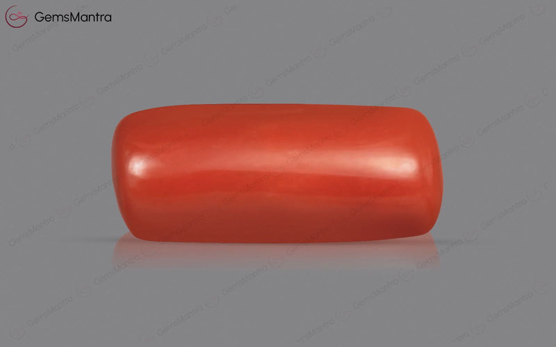 Red Coral - 3.65 Carats