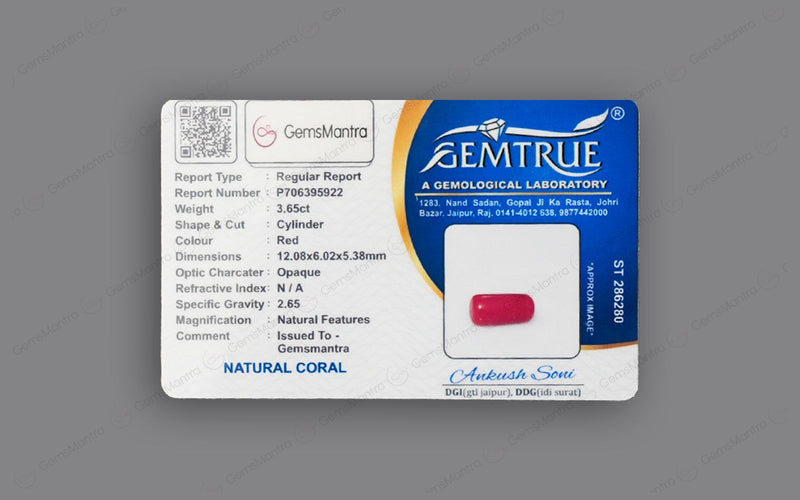 Red Coral - 3.65 Carats