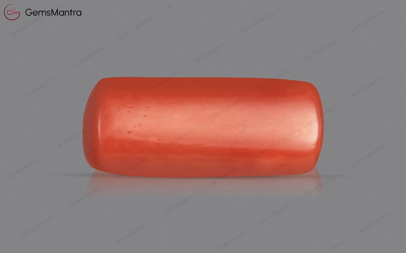 Red Coral - 3.65 Carats