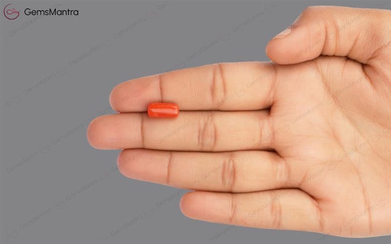 Red Coral - 3.65 Carats