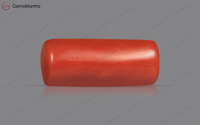 Red Coral - 3.88 Carats