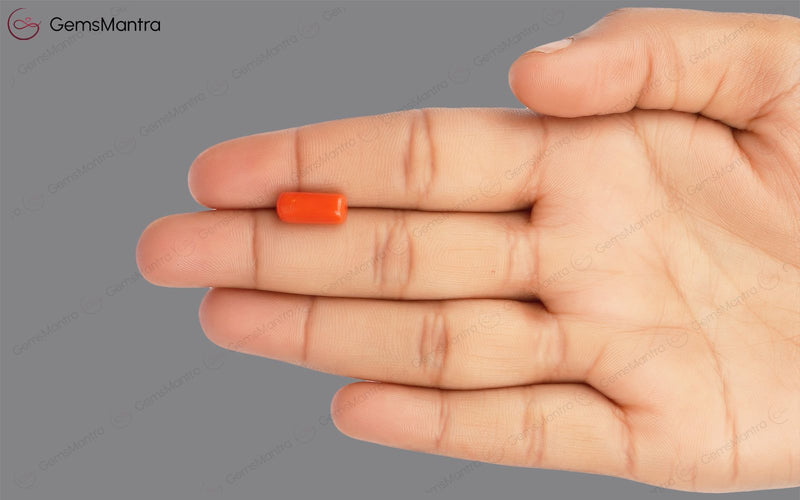 Red Coral - 3.88 Carats