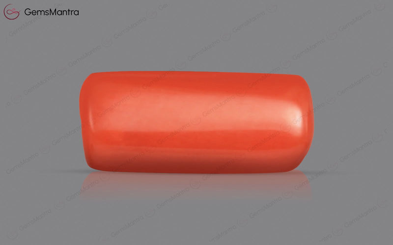 Red Coral - 3.81 Carats