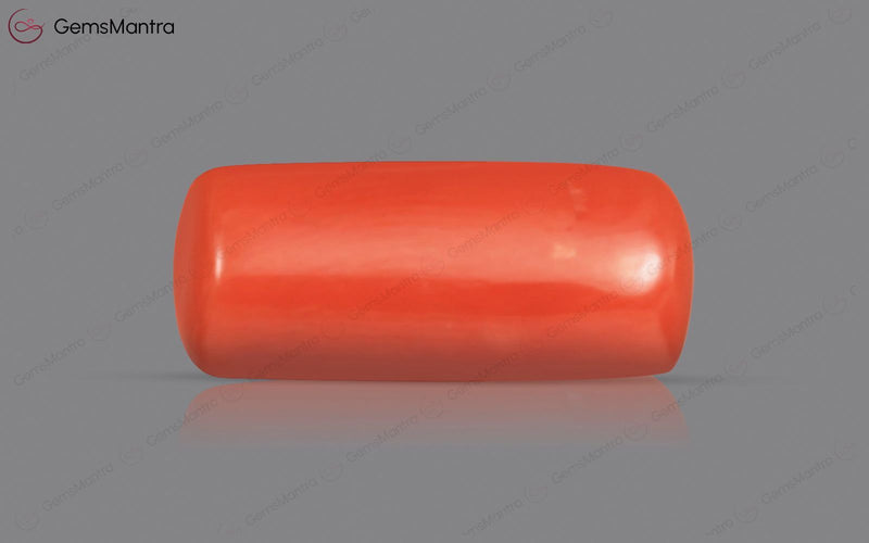 Red Coral - 3.81 Carats