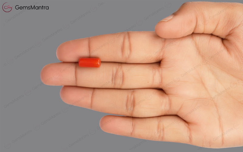 Red Coral - 3.81 Carats