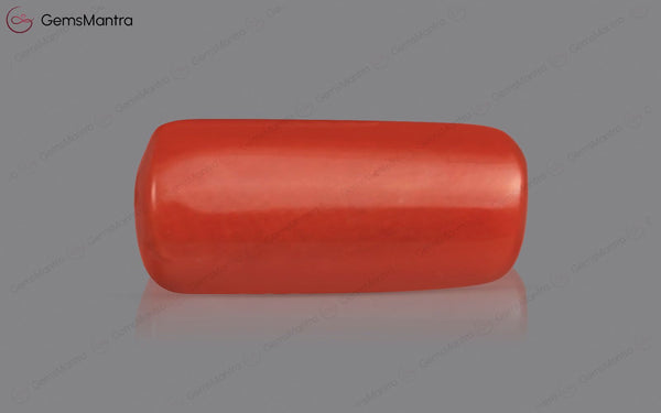 Red Coral - 3.71 Carats