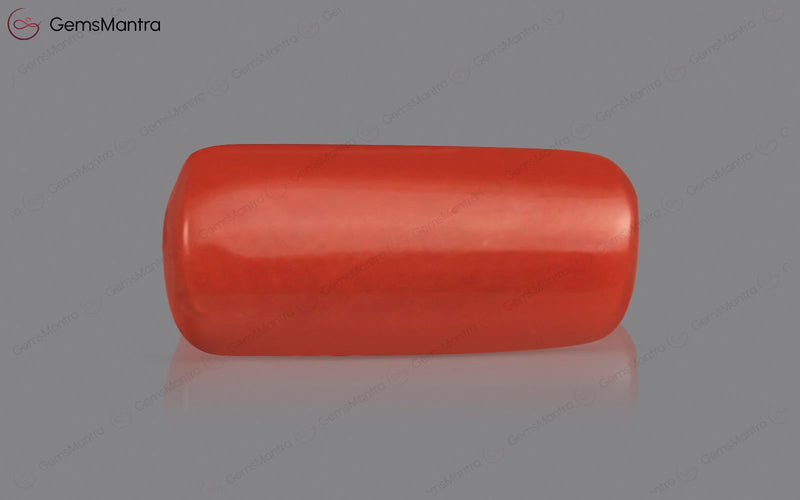 Red Coral - 3.71 Carats