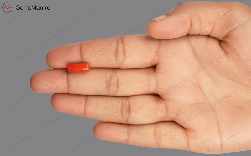 Red Coral - 3.71 Carats