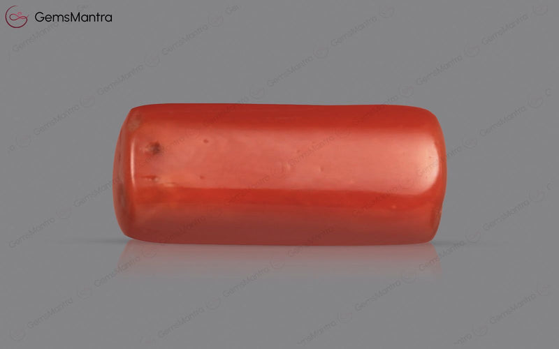 Red Coral - 3.85 Carats