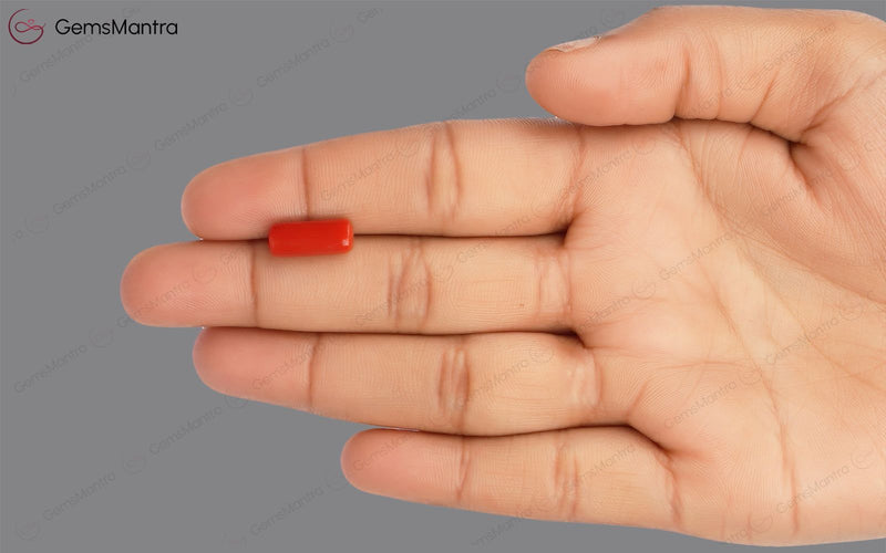 Red Coral - 3.85 Carats