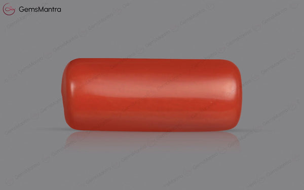 Red Coral - 3.67 Carats