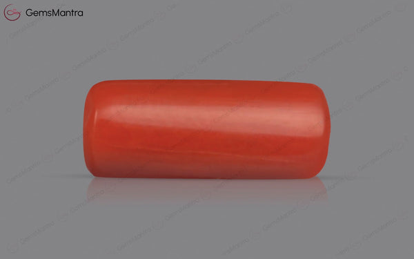 Red Coral - 3.67 Carats
