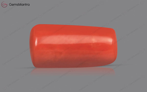 Red Coral - 3.71 Carats