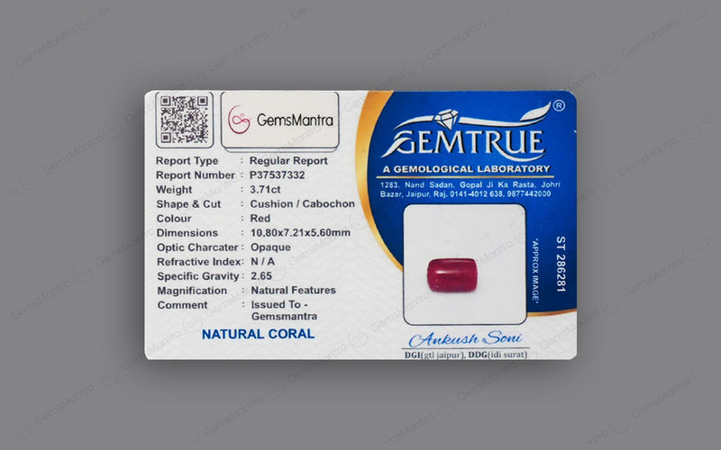 Red Coral - 3.71 Carats