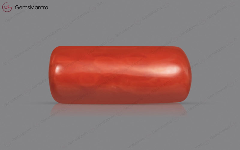Red Coral - 4.06 Carats